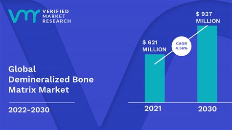 Demineralized Bone Matrix Market Size Share Trends Forecast