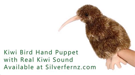 Kiwi Bird Hand Puppet with Real Kiwi Bird Sound - YouTube