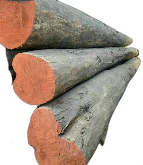 Brown Round Indian Teak Wood Log At Rs 1999cubic Feet In Hyderabad