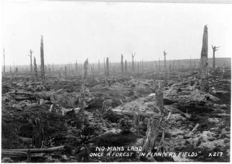 No Man S Land Once A Forest In Flanders Fields X217 Flanders Field World War One No Mans Land