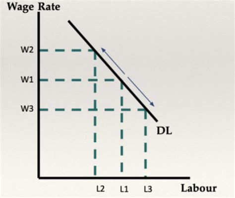 Labour Markets Flashcards Quizlet