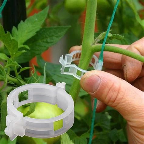 Clips De Soporte Para Plantas De Tomate Accesorio De Protecci N Para