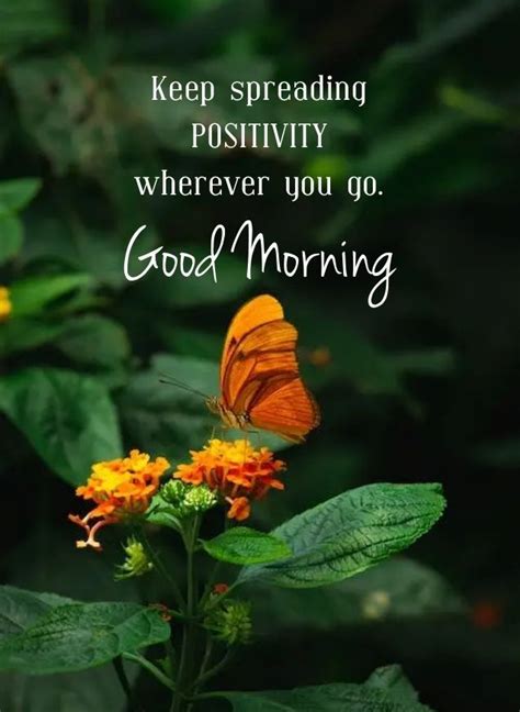 Positive Good Morning Quotes Good Morning Spiritual Quotes Good