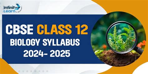 Cbse Class 12 Biology Syllabus 2024 2025 Revised Curriculum