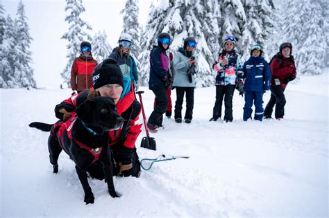 Shejumps 2020 At Stevens Pass Pure Pnw Blog