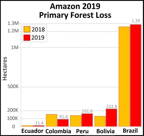 MAAP #122: Amazon Deforestation 2019 - Amazon Conservation Association