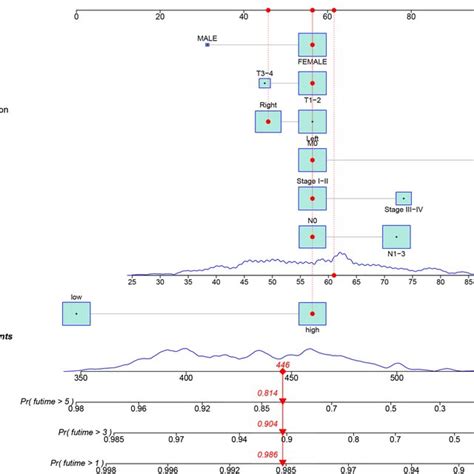 The Nomogram Based On The Risk Assessment Model And Clinical Features