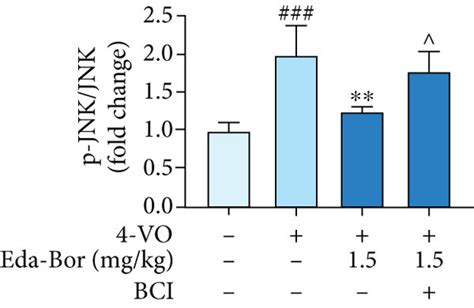 Edaravone Dexborneol Injection Suppressed The Phosphorylation Of Mapks