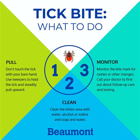 Tick Bite: What To Do | Tick bite, Ticks, Infographic