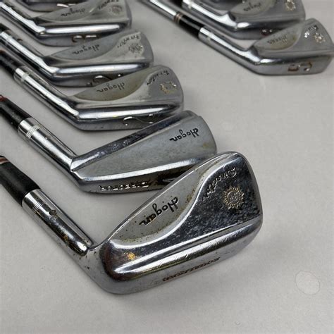 Ben Hogan Director 1 E Iron Set Rh Dynamic Gold Golf Pride Vintage Ebay