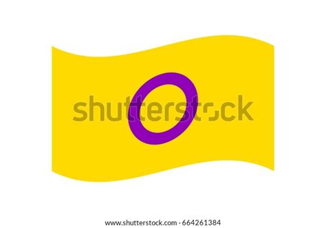 Vector Illustration Intersex Flag On White Vector De Stock Libre De