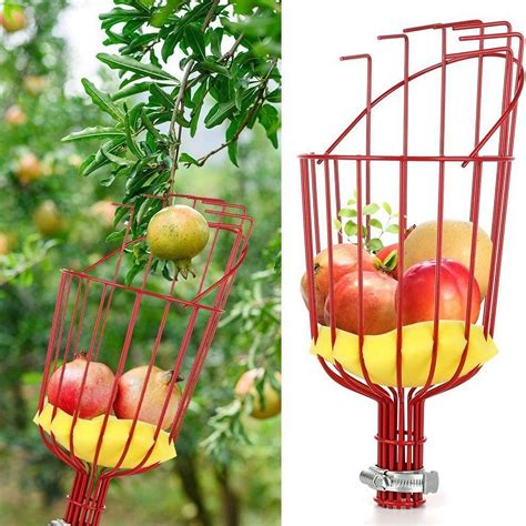 Mnbfyx Fruit Picker Pole Tool With Basket Telescoping Long Handle