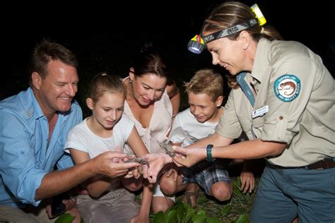 Kellys Beach Resort Bargara Mon Repos Turtle Packages