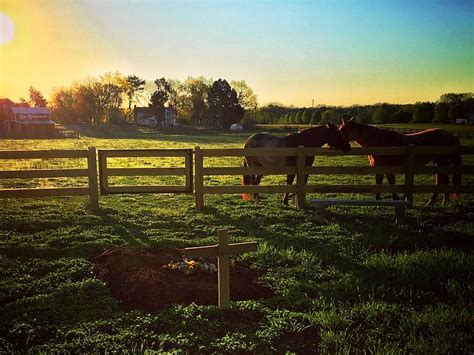 Rory Feek Shares Photo of Joey Feek's Grave on Family Farm, Weeks after ...