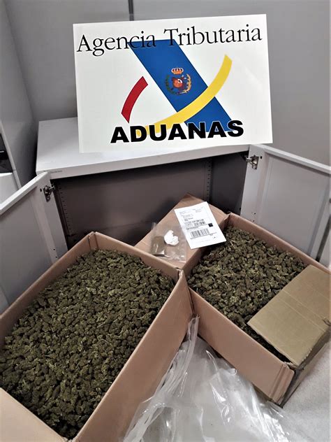 Incautados en Cáceres 12 42 kilos de cogollos de cannabis y 80 gramos