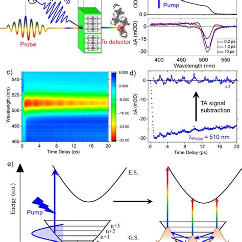 Vibrational Wave Packet Dynamics A Schematic Of The Ultrafast