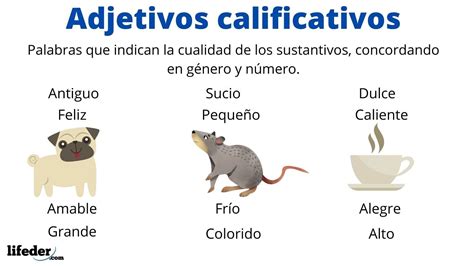 Adjetivos Calificativos Definición Tipos Para Qué Sirven Ejemplos