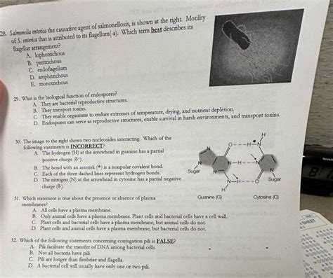 Solved 28. Salmonella enterica the causative agent of | Chegg.com 