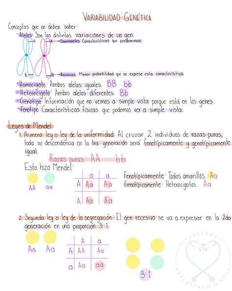 Solution Variabilidad Gen Tica Studypool