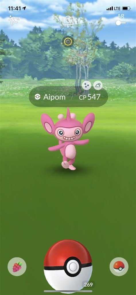 Shiny aipom | Pokemon, Shiny pokemon, Pokemon go