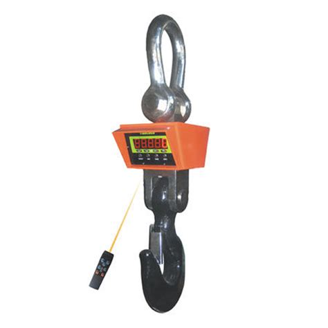 Anyload Ocsz 30klb Heavy Duty Crane Scale 30000 Lb X 10 Lb Scales Plus