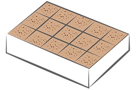 Naked Slabs Cocopeat Manufacturer Coco Peat Suppliers Coco Coir Manufacturer