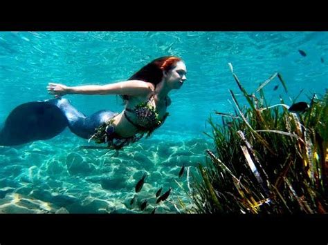 Real Life Mermaids Swimming