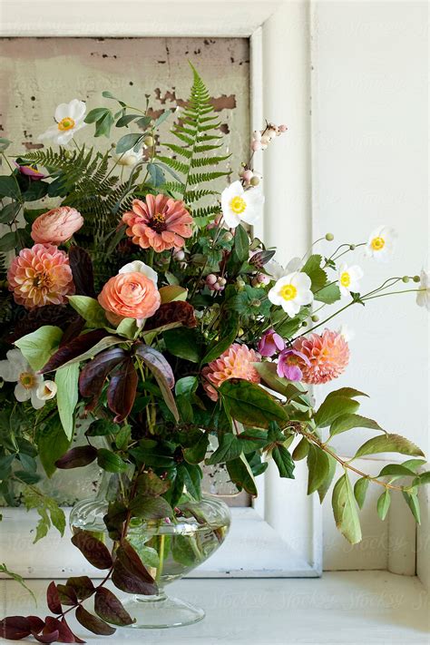 "Fall Flowers" by Stocksy Contributor "Susan Findlay" - Stocksy