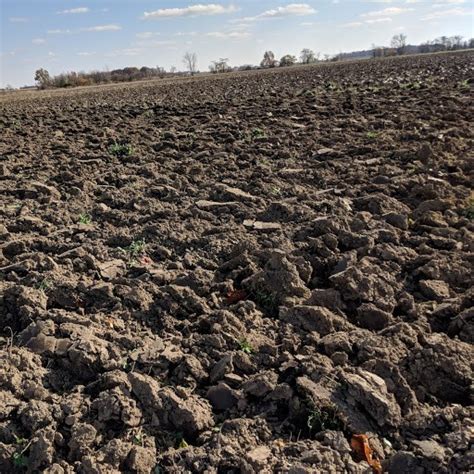 U.S.A. soil erosion – Ohio Ag Net | Ohio's Country Journal