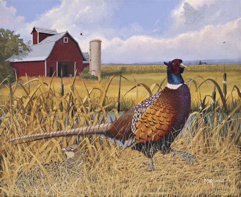 Pheasant - Nick Martinez Art