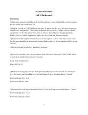 Lab Docx Meto Online Lab Background Instructions Type