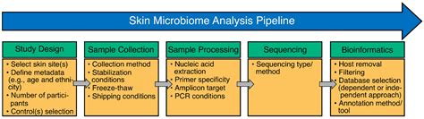 Reviewing current challenges and advances in skin microbiome research