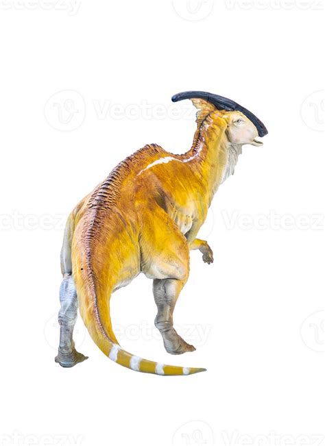 Parasaurolophus Dinosaur Isolated Background 30815268 Png