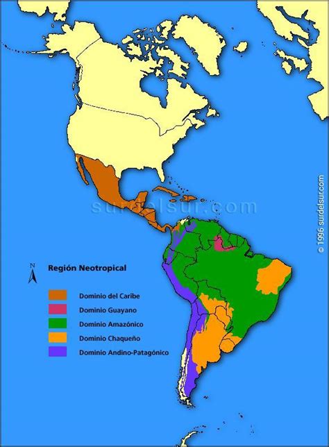 Actor Recuperar Recoger Hojas Mapa De America Y Sus Regiones Solo