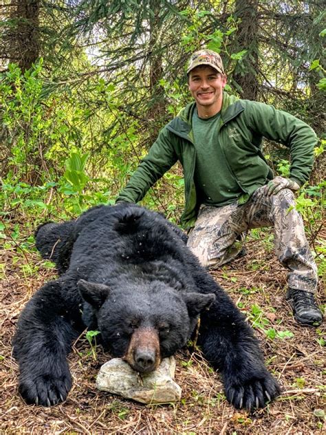 Giant Bc Black Bears