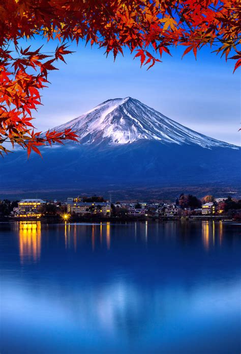 [Sehari Berkeliling Gunung Fuji dari Tokyo] Menikmati Keindahan Alam ...