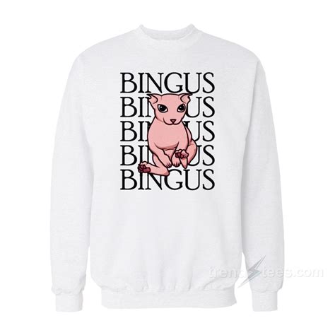 Praise Bingus Cat Sweatshirt - trendstees.com