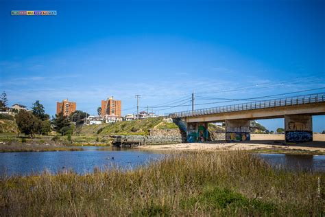 Humedal Quebrada de Córdova El Tabo Litoral Poeta y de las Artes