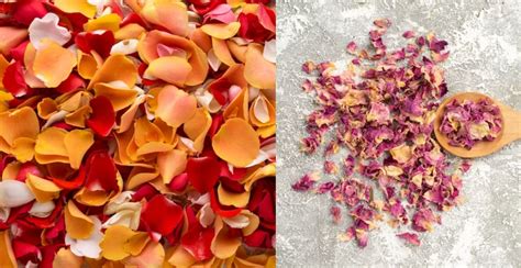 7 Skin Benefits Of Dried Rose Petals