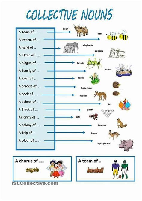 Collective Nouns For Class 2