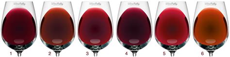 As Cores Dos Tintos Red Wine Wine Folly Wine Fancy