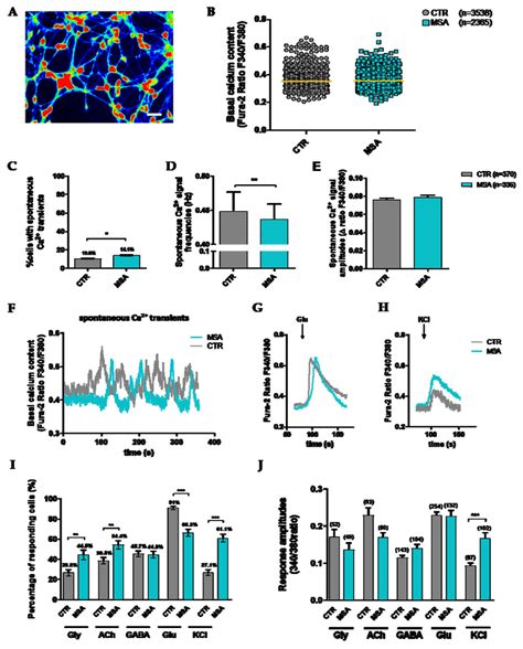 Spontaneous And Transmitter Induced Calcium Ca 2 ⁺ Signaling Of Msns