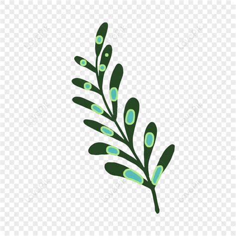 Cartoon Hand Drawn Beautiful Green Plant Leaves PNG Hd Transparent