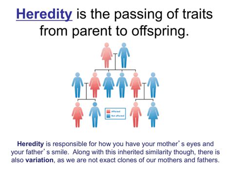 Heredity PPT