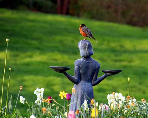 Bird Girl And Robin Photograph By Tom Strutz Pixels