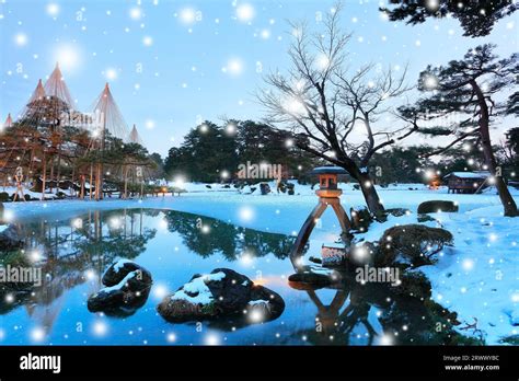 Snow Falling from Karasaki Pine at Kenrokuen in winter, Hokuriku ...