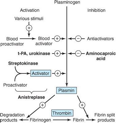 Immunology | Immune system| Immunity: Fibrinolysis and Anemia