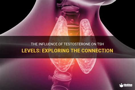 The Influence Of Testosterone On Tsh Levels Exploring The Connection Medshun