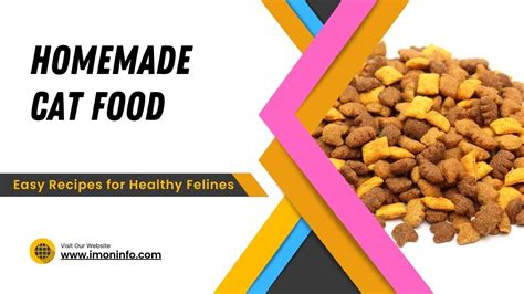 Homemade Cat Food Easy Recipes For Healthy Felines