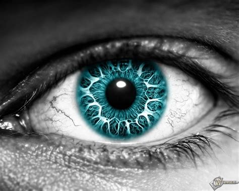 Скачать обои Глаз (Глаз, Зрачок, Ресницы) для рабочего стола 2048х1638 ...